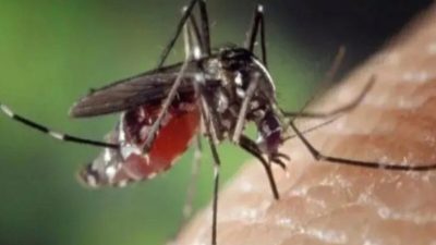 Pemkab Bangka Fokus Tekan DBD: Dari Fogging hingga Kampanye 3M Plus