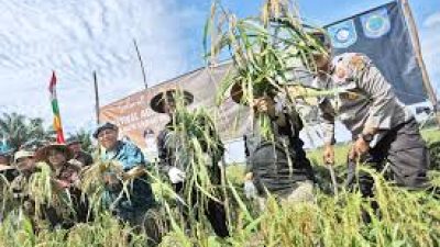 Disparbud Bangka Barat dampingi BUMDes kembangkan agrowisata