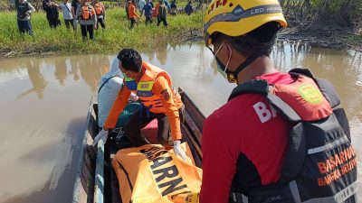 Teror Buaya di Babel Telan Korban, Alobi Soroti Kerusakan Habitat